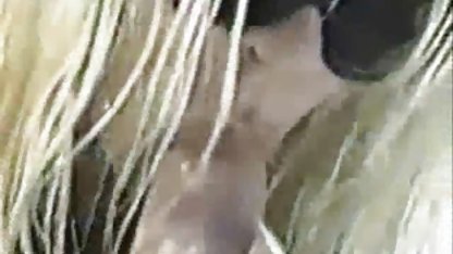 Nena sexo con gordibuenas mexicanas tetona kelly folla francés