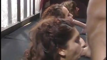 Estas lesbianas gordibuenas xxx mexicanas se vuelven locas con sus coños